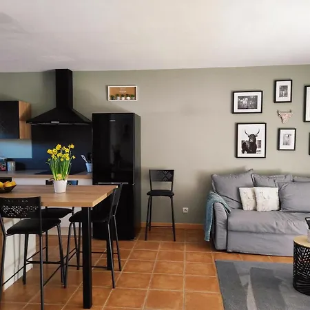 Maison De Dans Avec Piscine Arles